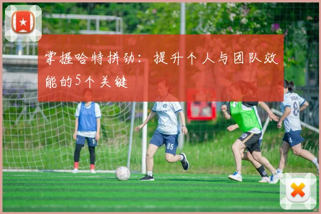掌握哈特拼劲：提升个人与团队效能的5个关键